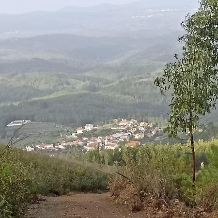 Апартаменты Casa Xara Пруэнса-а-Нова Экстерьер фото